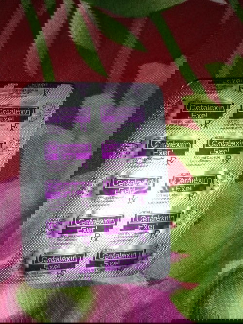 UTI 20 weeks pregnant