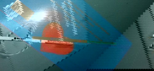 5minggu belum terlihat kantung