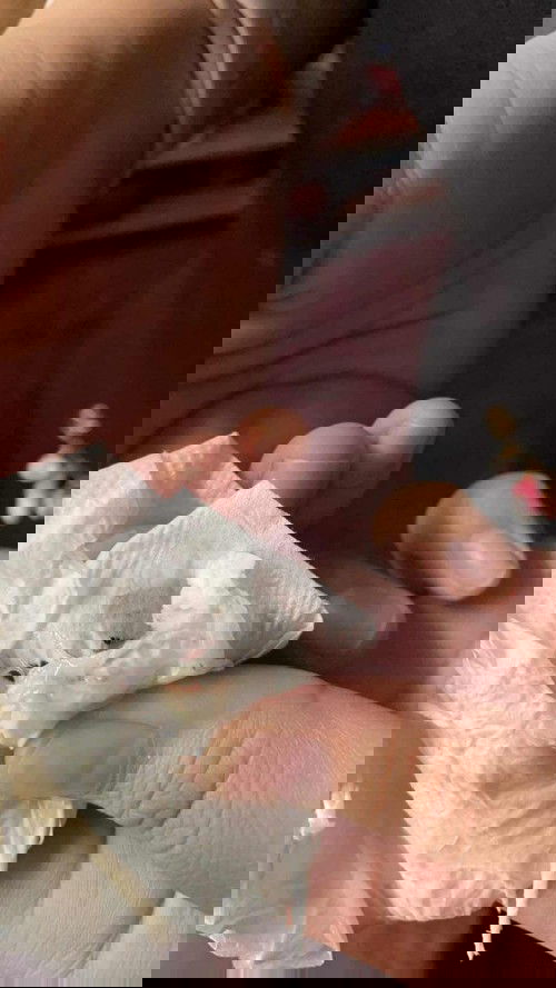 มีเลือดออกนิดนึงแบบนี้อันตรายมั้ยคะ จิตตกมากเลยค่ะ