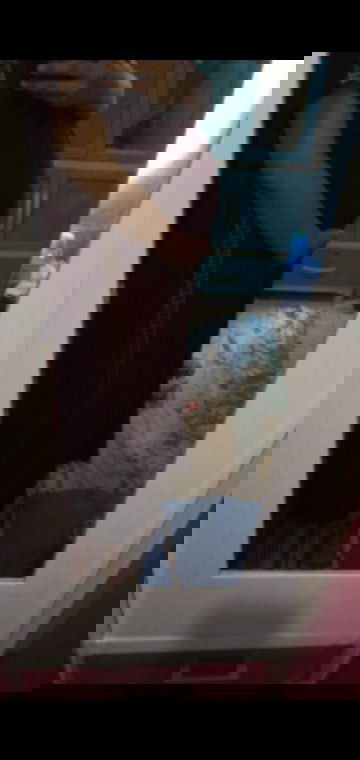 Ada yang sama gak bund,,,