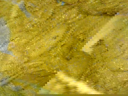 Bab bayi usia 4bulan 17hari