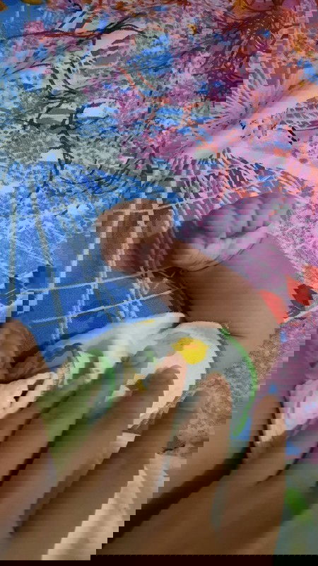 Tangan terus mengepal