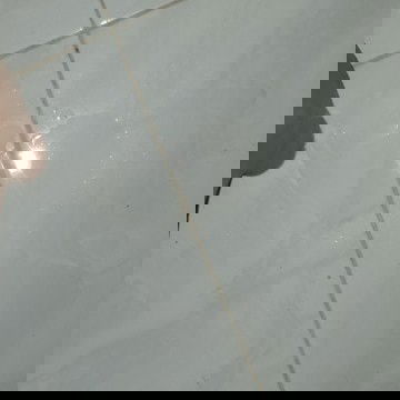 Tanda2 atau bukan ya ?