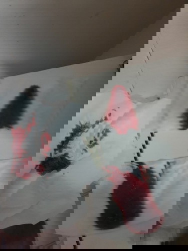 อยู่ดีๆก็เลือดไหลออกมา