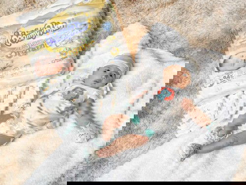 MamyPoko Super Premium Organic