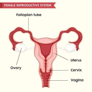 Thank you po sa pagsagot