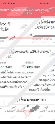 อีก5วันเองแม่อยากแตกแล้วน๊า...ทำไมเงียบอย่างงี้#ทีม5ตุลา...แม่ๆตุลาเป็นไงกันบ้างเอ่ย🤔😘