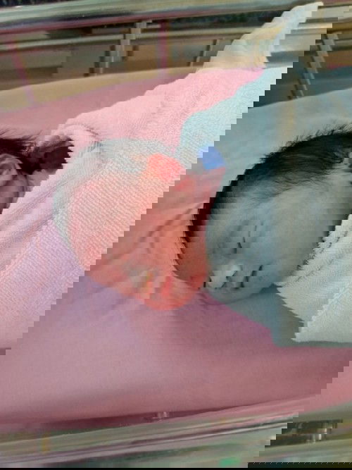 สวัสดีค้าบ🙏👶