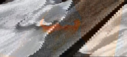 สอบถามหน่อยค่ะ แม่ๆบ้านไหนมีมูกเป็นสีนี้บ้างคะ