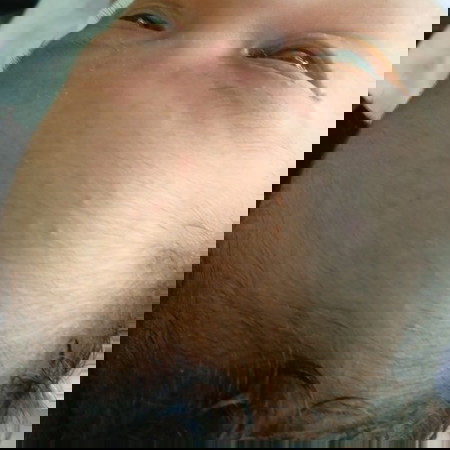 ขอคำแนะนำ