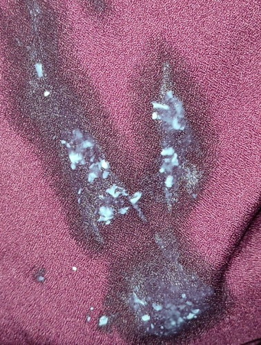 Tolong saya ibu² , saya buntu .