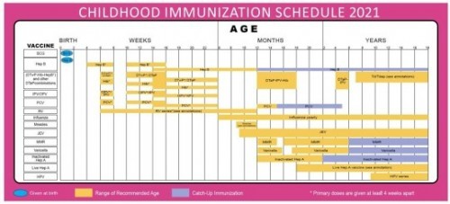 baby's immunization record