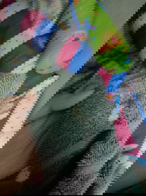 มีแบบนี้ออกมาปกติไหม