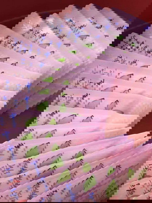 Salam all.. any idea nk buat apa dgn ebm yg dh expired. sorry  my lil boy...sedihnya😔