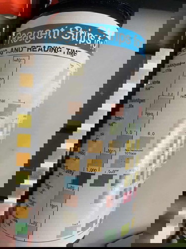 currently w18 pregnant and i have leukocytes, ketones and bilirubin present in urine