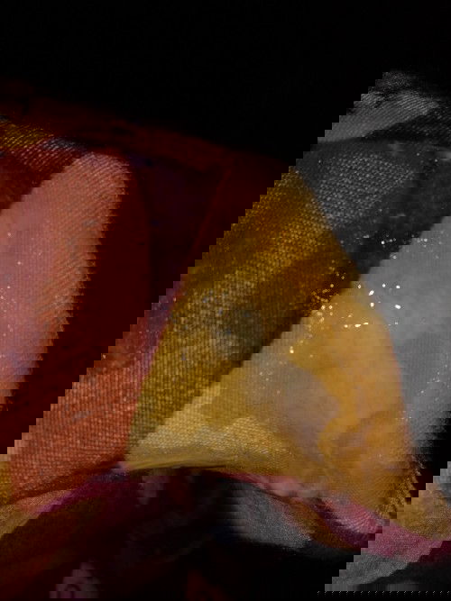 Keluar lendir seperti putih telur trimester 3