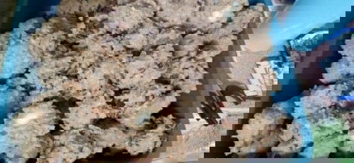 Mie ayam homemade 🤤