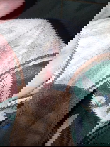 Currently 38 weeks and 3 days