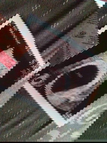 Belum terlihat bakal janin