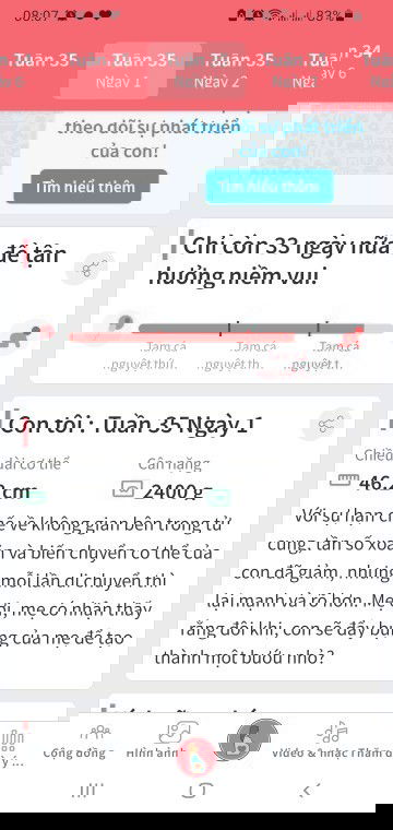 Giỏ đồ đi sinh