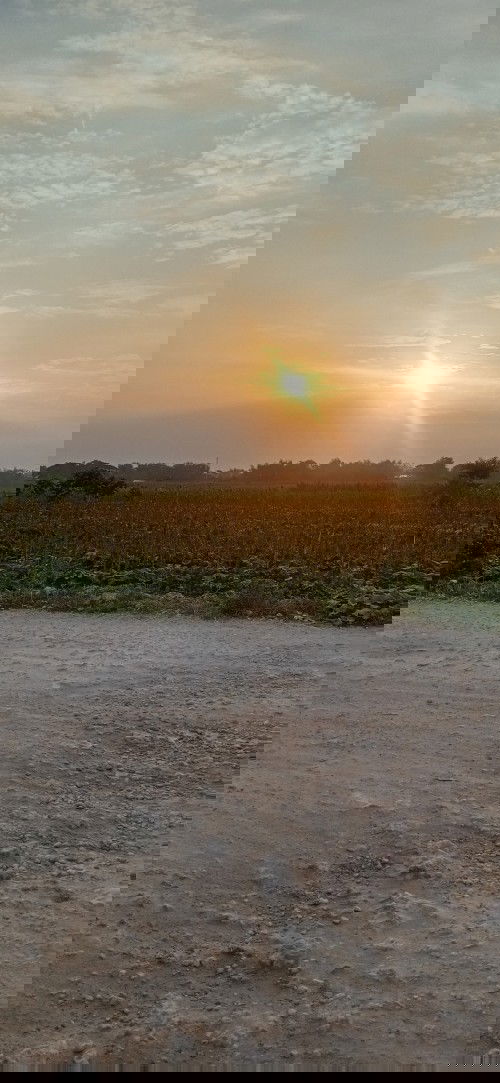 IBU2 RUMAH TANGGA KUMPUL DULU