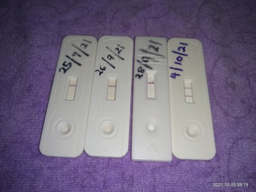 2nd baby in the house