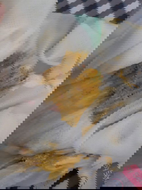 แม่ๆค่ะกังกัลใจมากเลยค่ะ