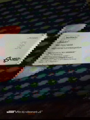 Lynestrenol Exluton