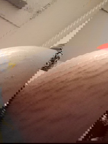 38w+4ยังเงีบยอยุ่เลย