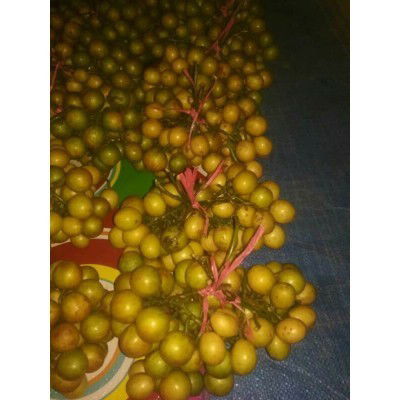 Mundung/kemundung cocok buat bumil