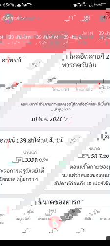 แม่ทีมตุลาคม🥰