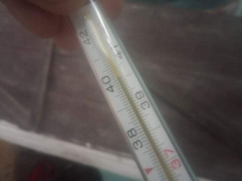 Cách chữa cảm cúm