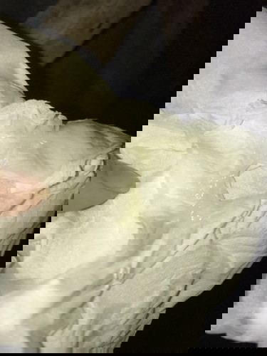 33+3วีค แบบนี้คืออะไรคะ