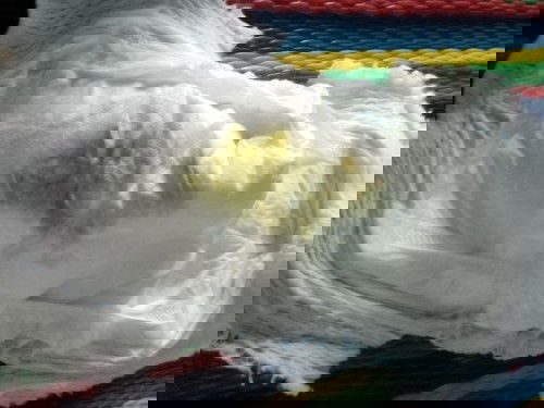 ลูก3เดือนถ่ายสีเขียวอันตรายไหมคะ😰