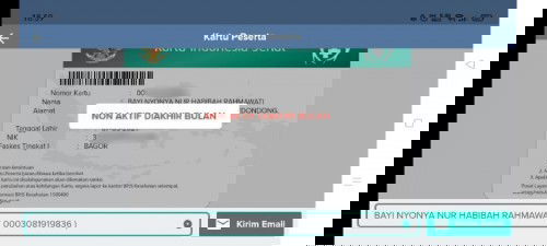 kepesertaan bpjs PBI