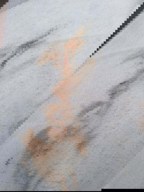 ท้องได้8สัปดาค่ะแล้วมีเลือดออกมาแบบนี้อันตรายไหมค่ะ