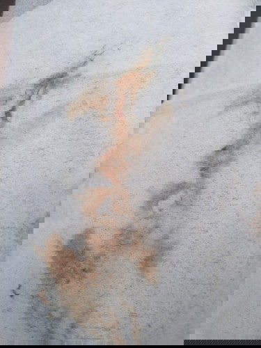 ท้องได้8สัปดาค่ะแล้วมีเลือดออกมาแบบนี้อันตรายไหมค่ะ