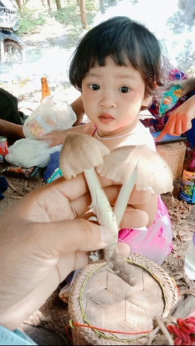 เห็ดปลวกจ้าา