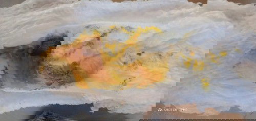 ทำไมลูกอึเป็นแบบนี้?