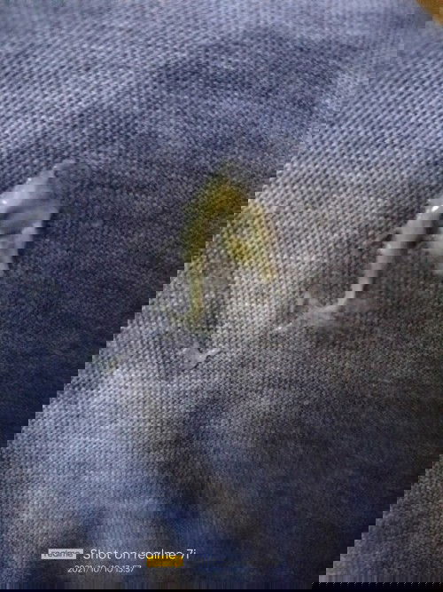 Keputian seminggu full usia 37week 1day