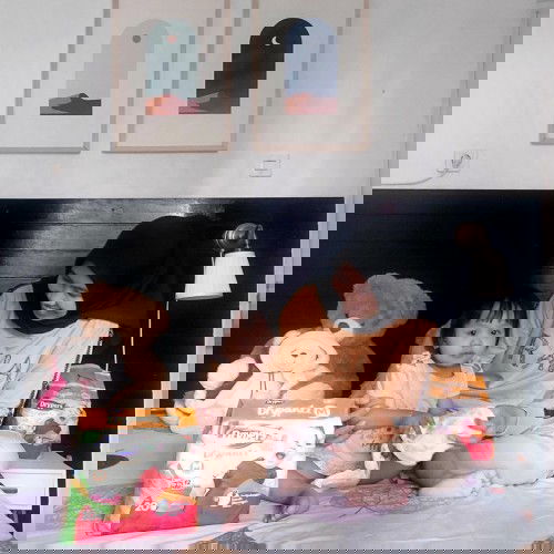 popok celana Drypers Drypantz