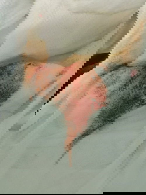 แชร์ประสบการณ์ค่ะ