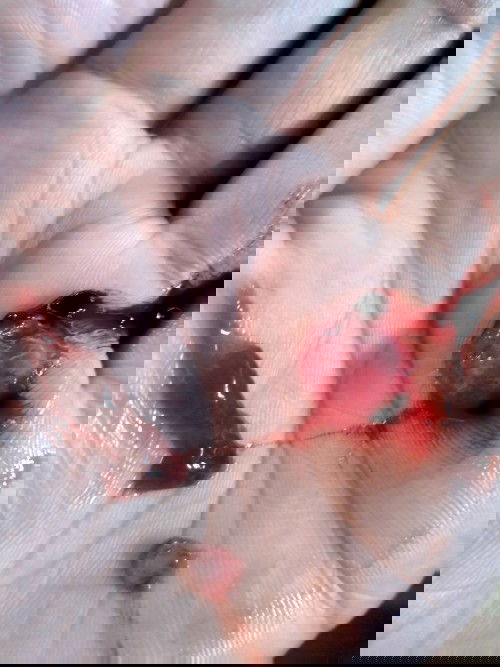 ถามผู้รู้