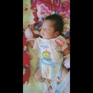 Gemoy.nyaa