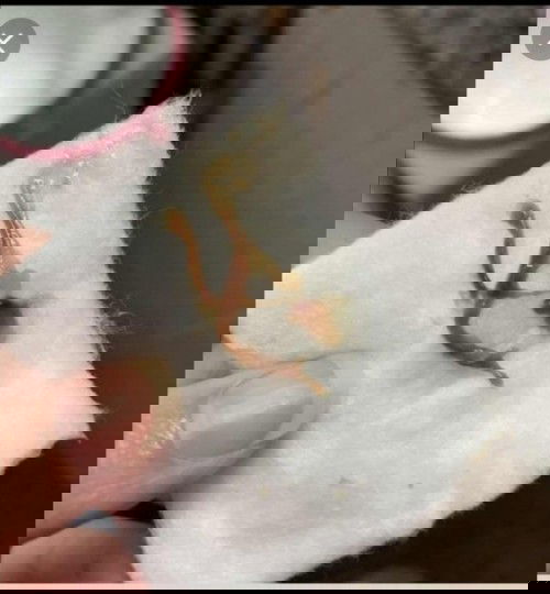 เพิ่งได้35w.มีมูกออกมา