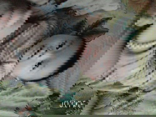 Con kh ti sữa ngoài