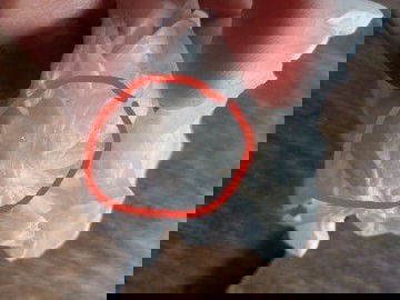 ใช่มูกไหมคะ