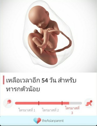 ทีมธันวาคม
