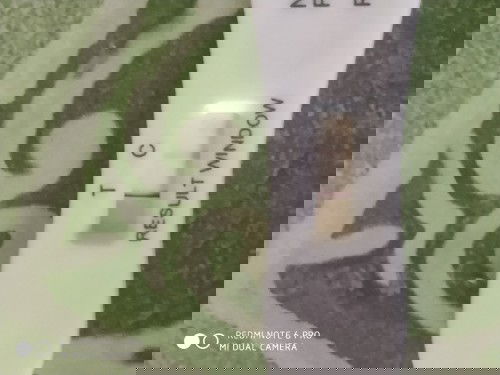 Kalau yang c tu nampak xjelas macam mana ya...kira pregnant jgk k...

#firstbaby