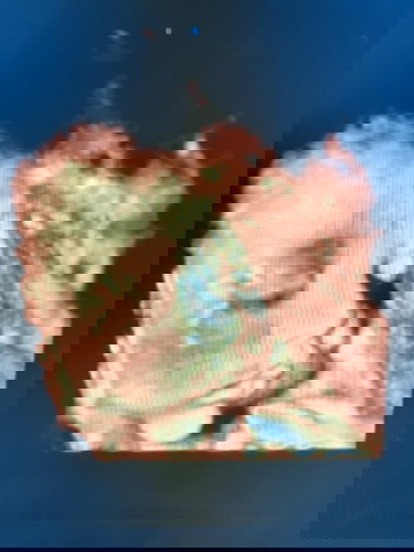 32w6d bé nặg 2kg vậy có chuẩn chưa ạ
Trộm vía mũi cao cho các mom nka 🥰